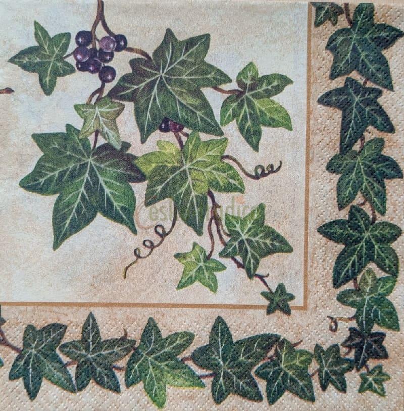 Ubrousek pro decoupage, 33 x 33 cm (vzor - břečťan)