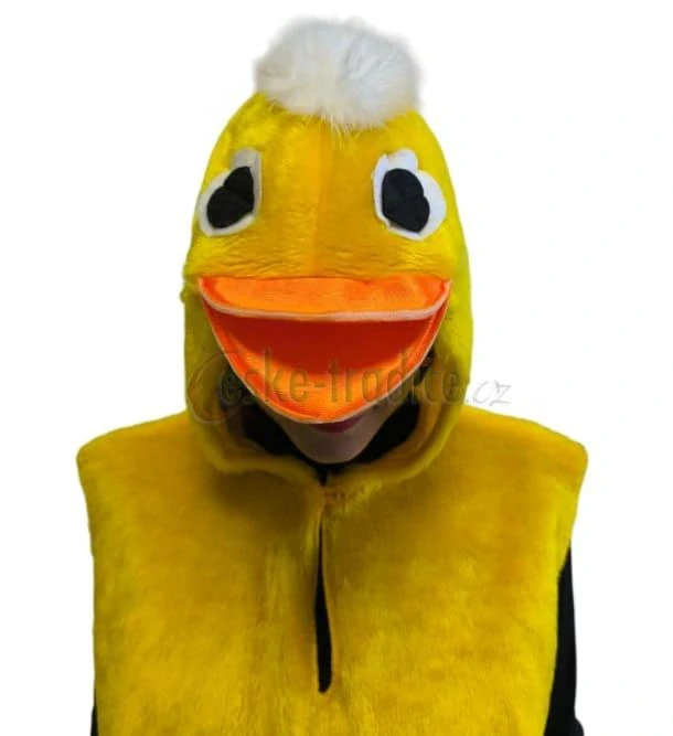 Karnevalový kostým kachna
