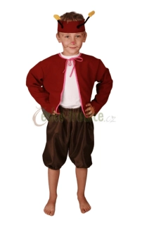 Kostým brouček