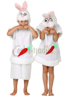 Karnevalový kostým králík, hoch