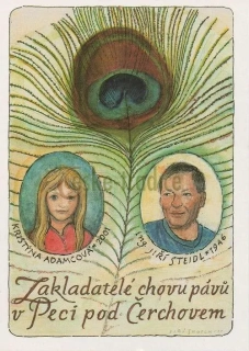 Pohlednice Jiří Škopek (Pávi v Peci pod Čerchovem, 2011) 427