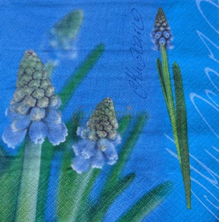 Ubrousek pro decoupage, 33 x 33 cm (vzor - muscari/modřenec)